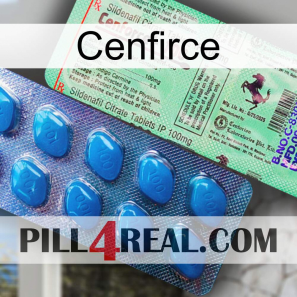 Cenfirce new02.jpg